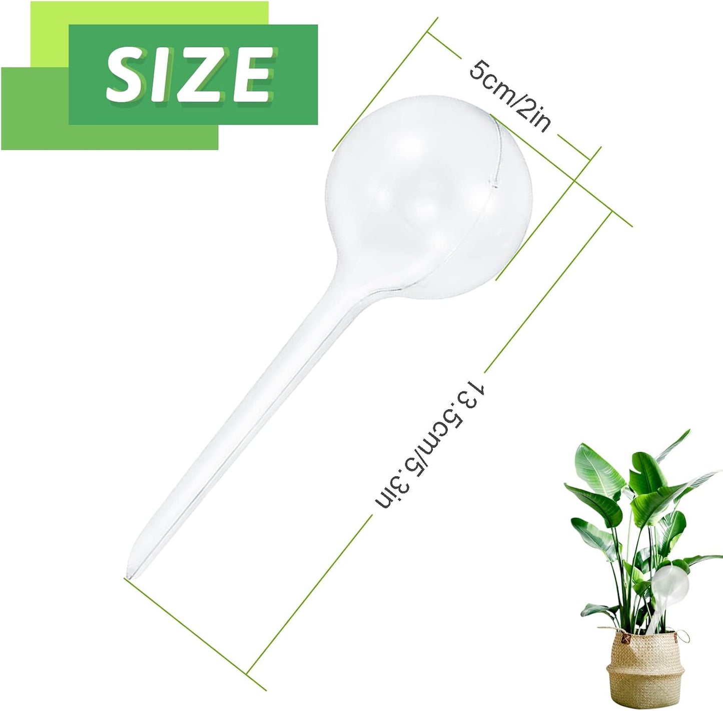 Plant Self-Watering Globes 8 Pack | Automatic Irrigation | Home Garden Essential