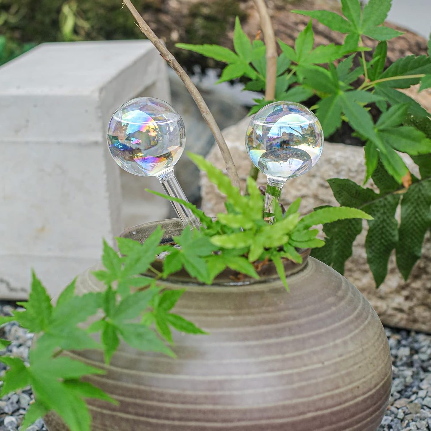 High Borosilicate Glass Plant Watering Globes | 3 Pack | Colorful Transparent Self-Watering Bulbs