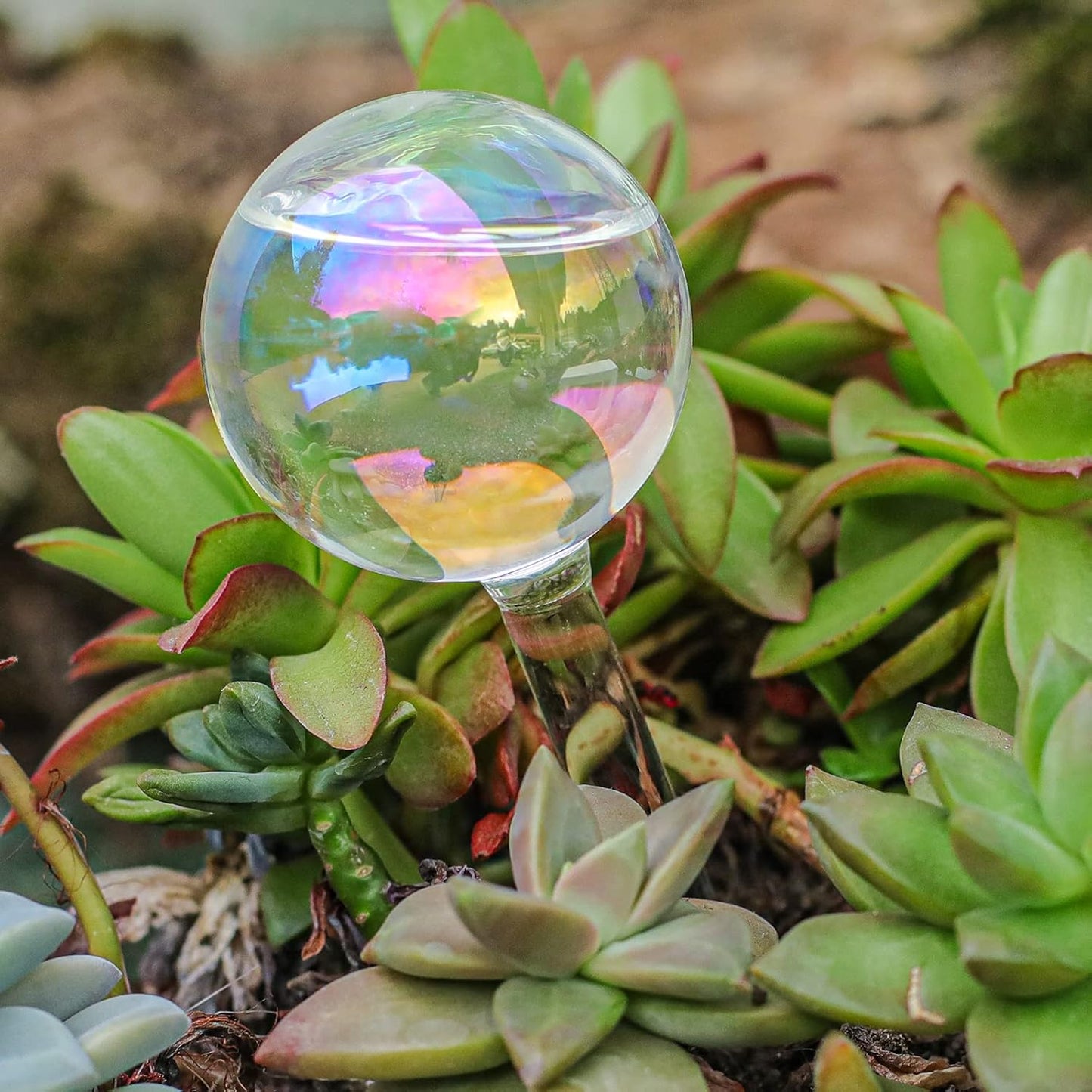High Borosilicate Glass Plant Watering Globes | 3 Pack | Colorful Transparent Self-Watering Bulbs
