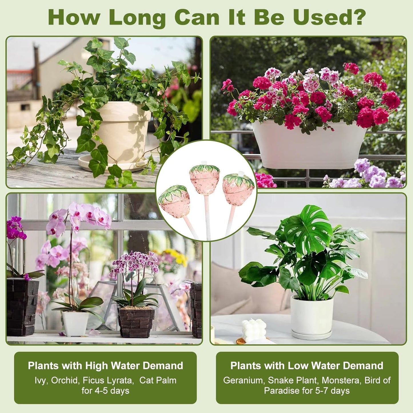 Strawberry Shaped Glass Plant Watering Globes | Automatic Self-Watering Bulbs | 2 Pack