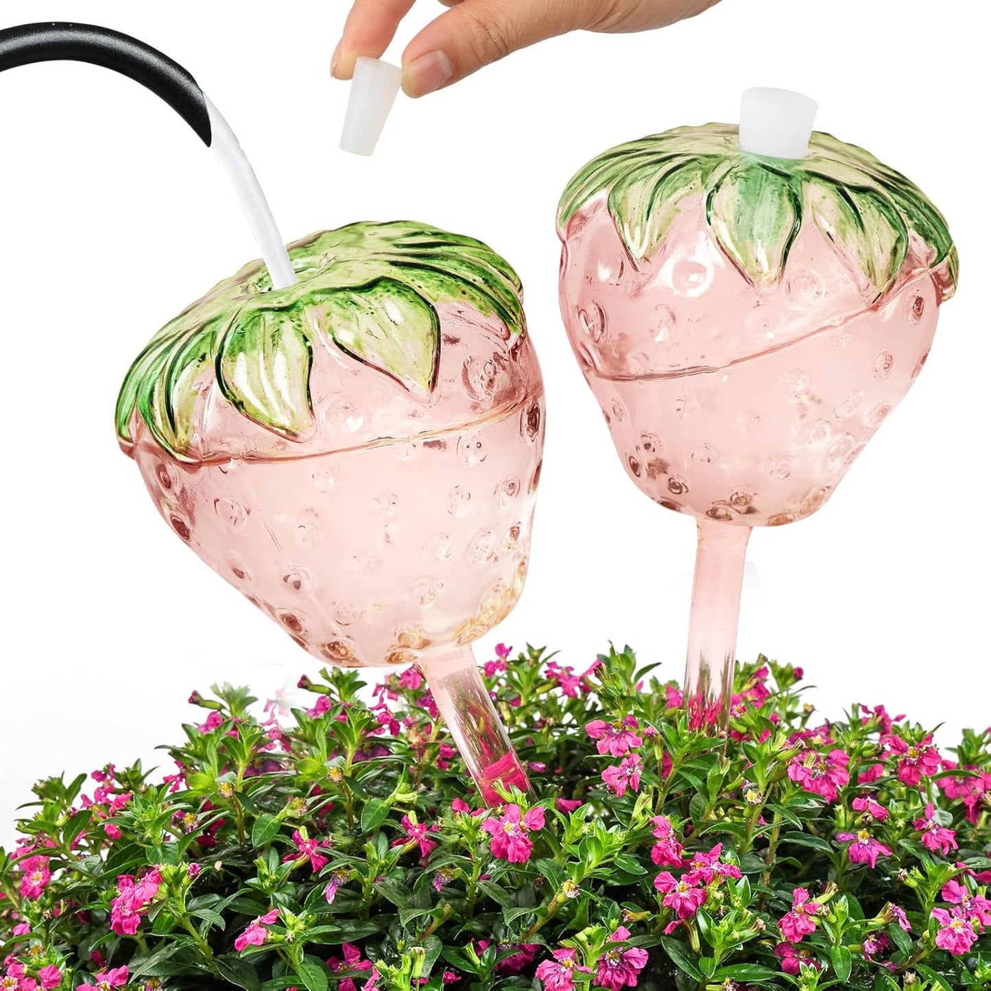 Strawberry Shaped Glass Plant Watering Globes | Automatic Self-Watering Bulbs | 2 Pack