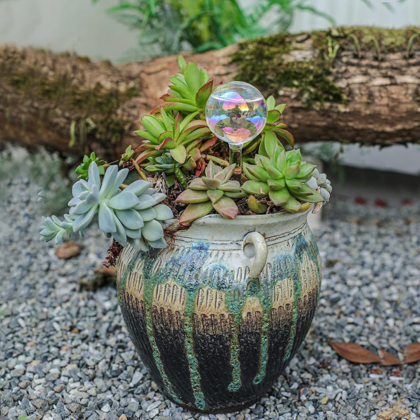 High Borosilicate Glass Plant Watering Globes | 3 Pack | Colorful Transparent Self-Watering Bulbs