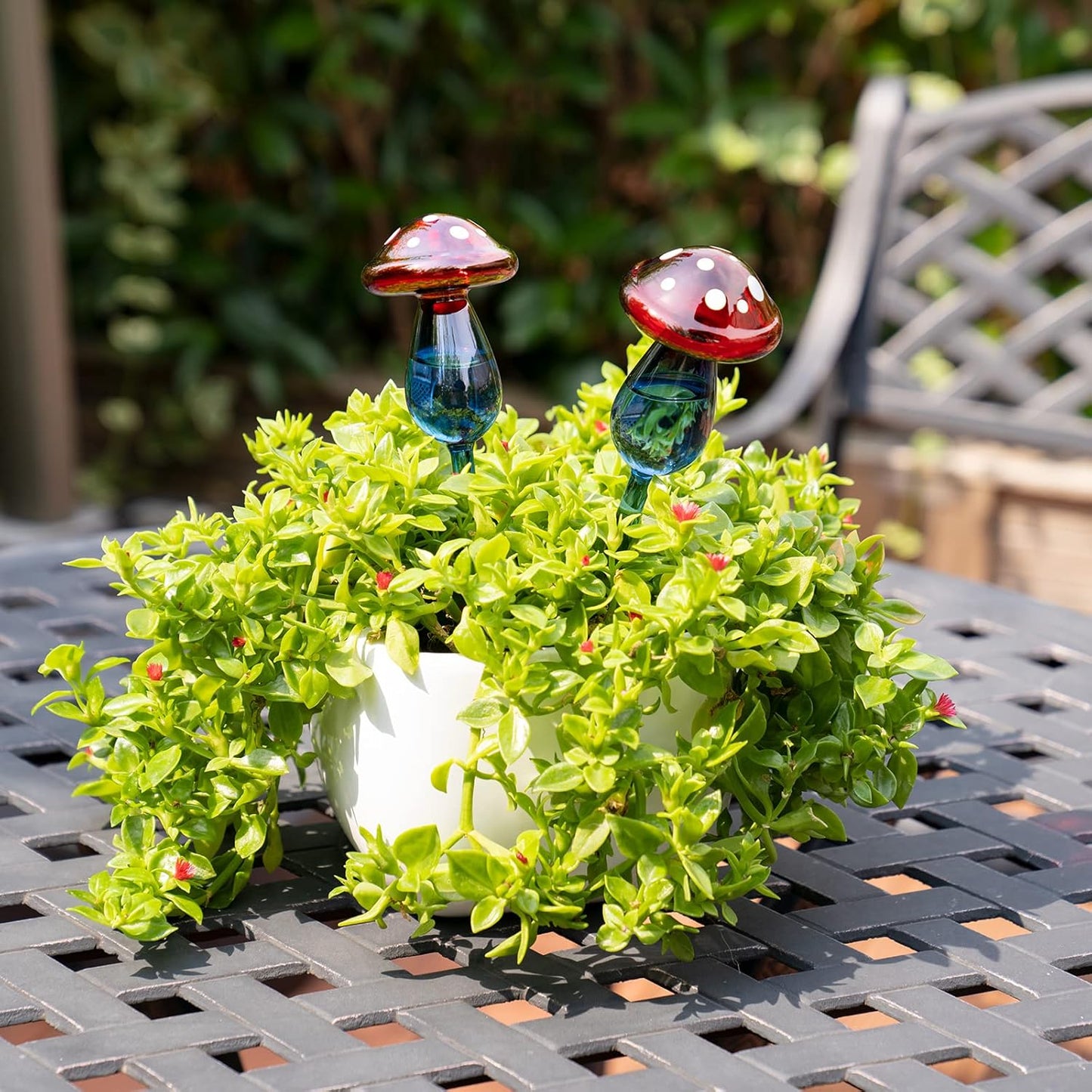 Creative Mushroom-Shaped Glass Plant Watering Globes | Automatic Self-Watering Spikes | 2 Pack