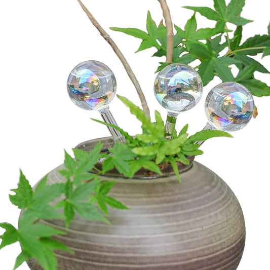 High Borosilicate Glass Plant Watering Globes | 3 Pack | Colorful Transparent Self-Watering Bulbs