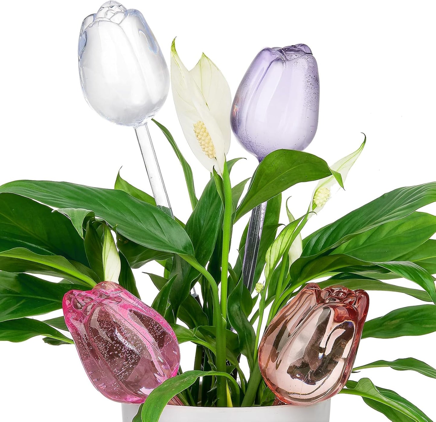 4-Pack Tulip-Shaped Self-Watering Globes (Random Colors) – Automatic Plant Watering Stakes for Indoor & Outdoor Use