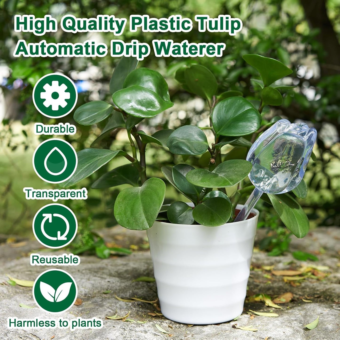 4-Pack Tulip-Shaped Self-Watering Globes (Random Colors) – Automatic Plant Watering Stakes for Indoor & Outdoor Use
