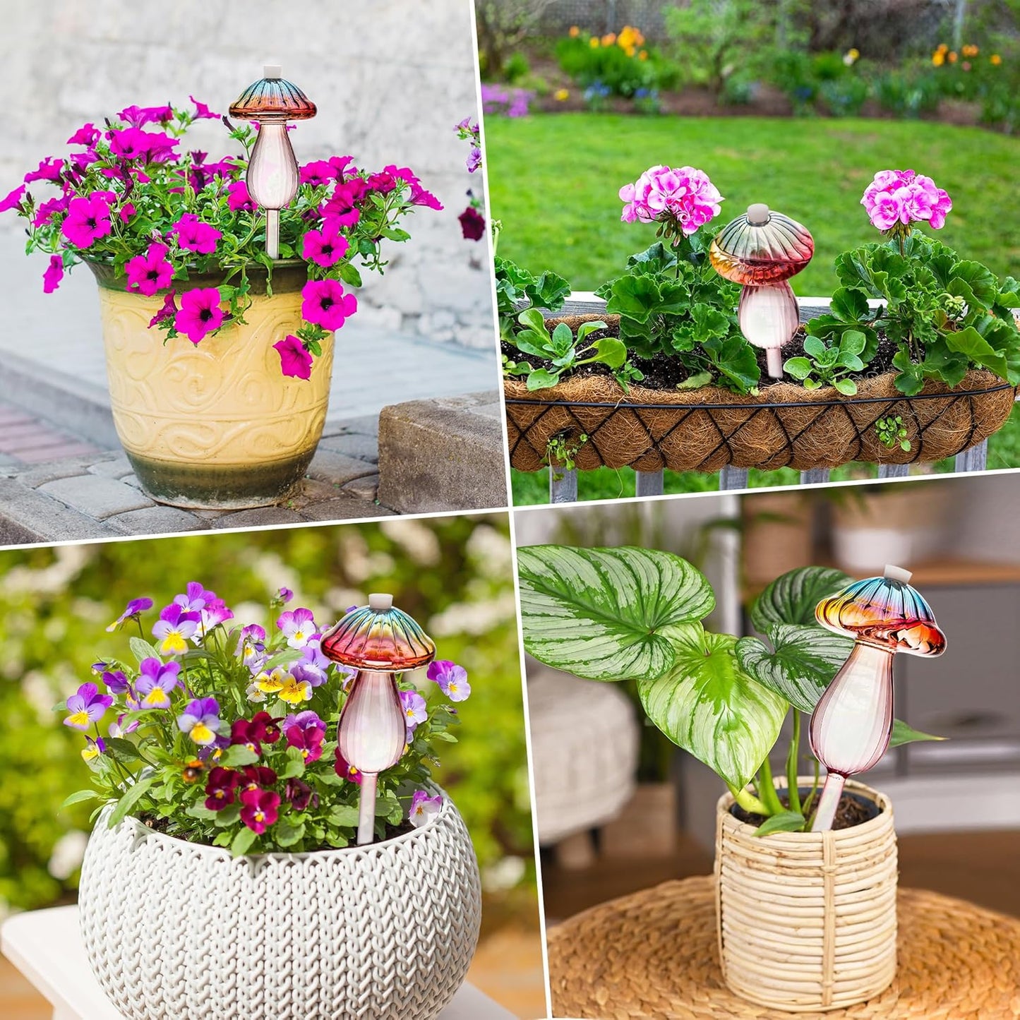 Plant Self-Watering Globes | Automatic Watering System | 4 Pack